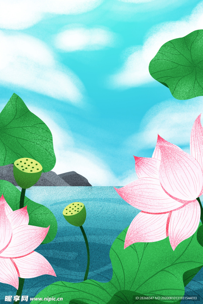 夏日荷花背景