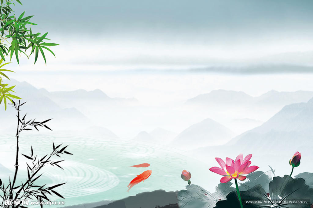 夏日荷花背景
