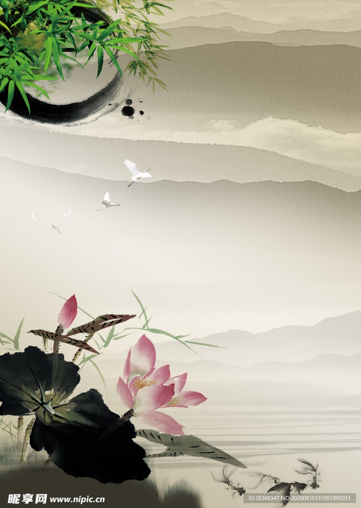 夏日荷花背景
