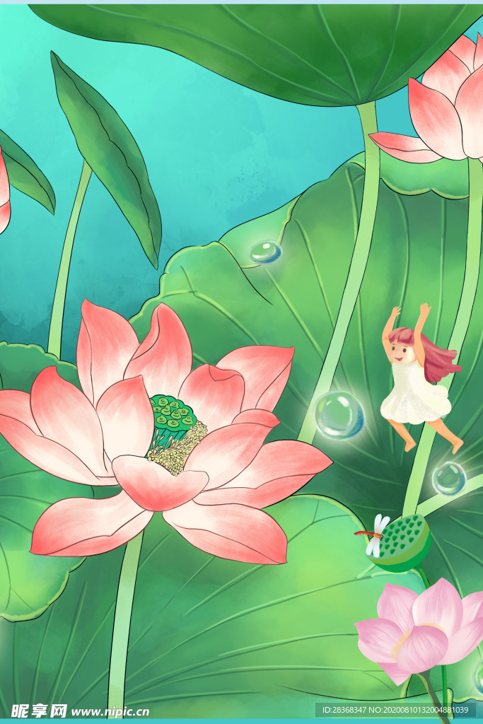 夏日荷花背景