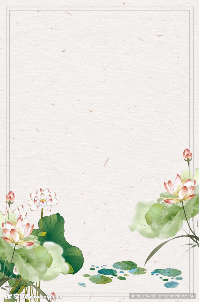 夏日荷花背景