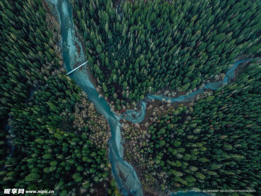 森林风景