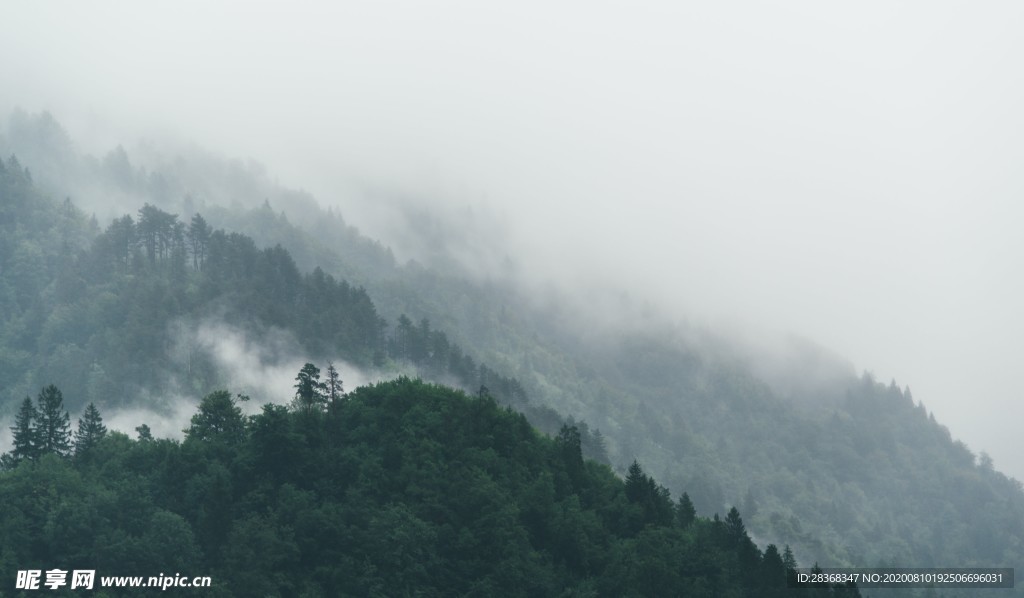 森林风景