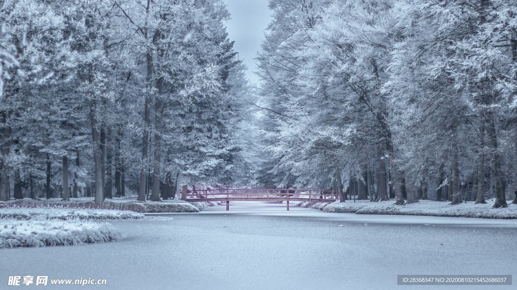 森林雪景