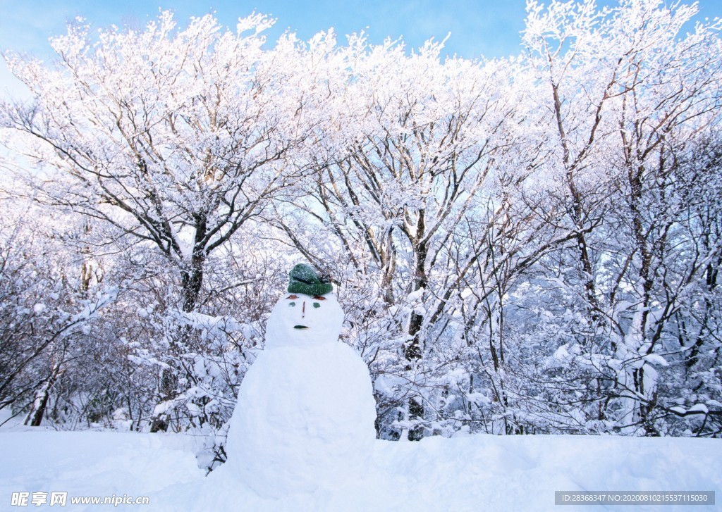 森林雪景