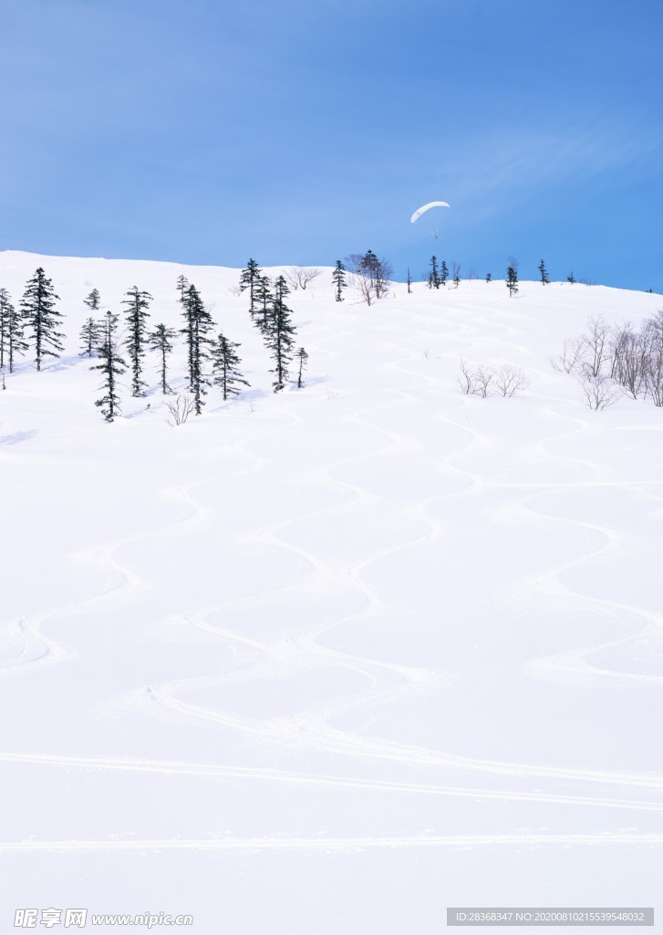 森林雪景