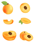 黄桃