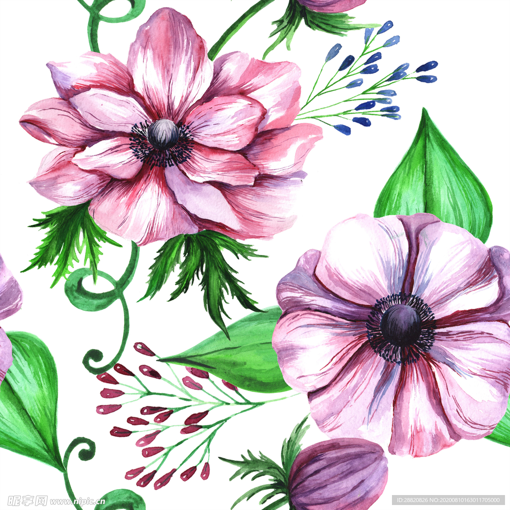 手绘花