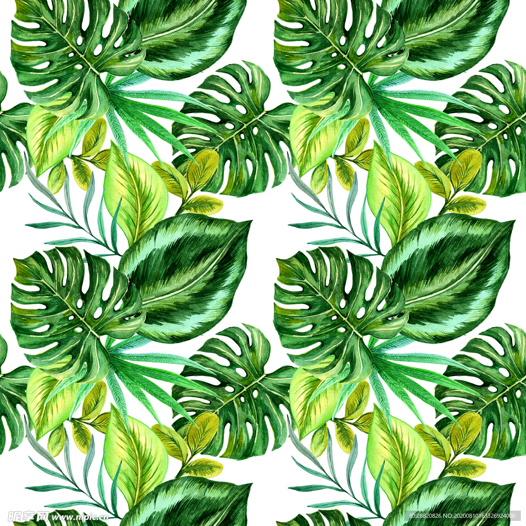 热带植物