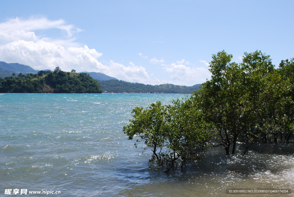 湖景 江景 树林 天空 湖水