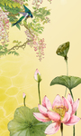 荷花装饰画