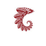 旋转 图案 红色 花纹 设计