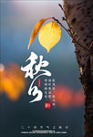 金秋秋分时节海报