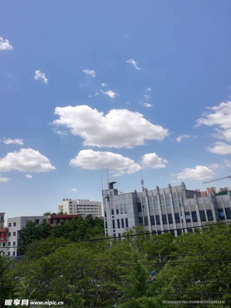 飞鸟