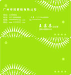 绿色名片