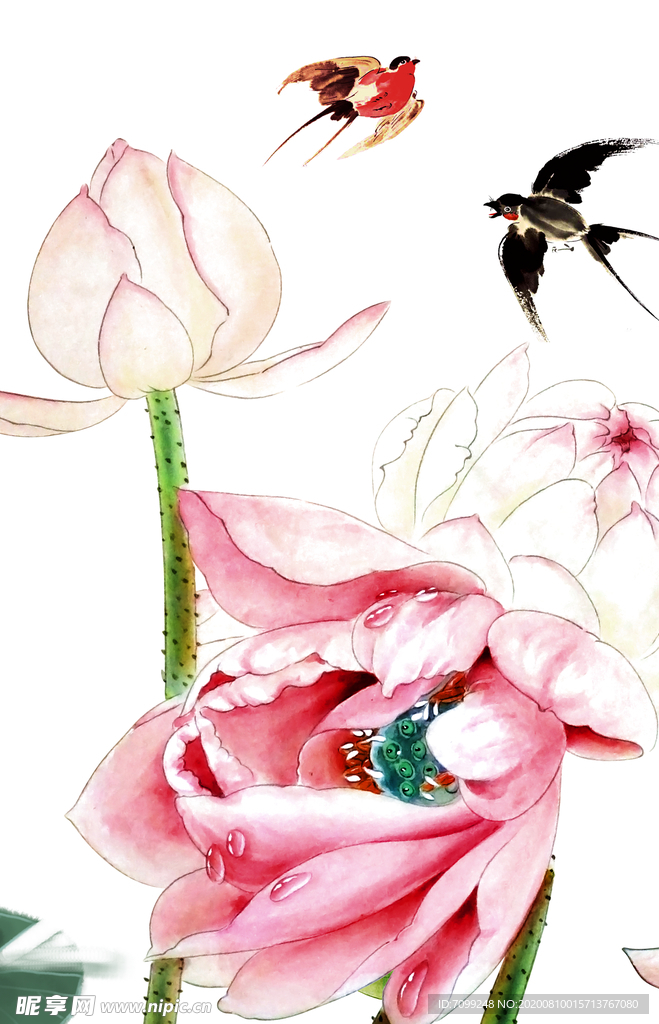 莲花荷花鱼装饰画