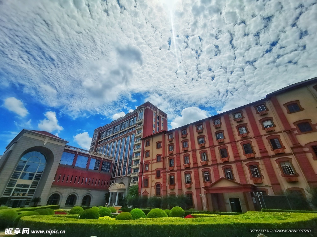 上海交通大学医学院