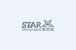 矢量图形 星星