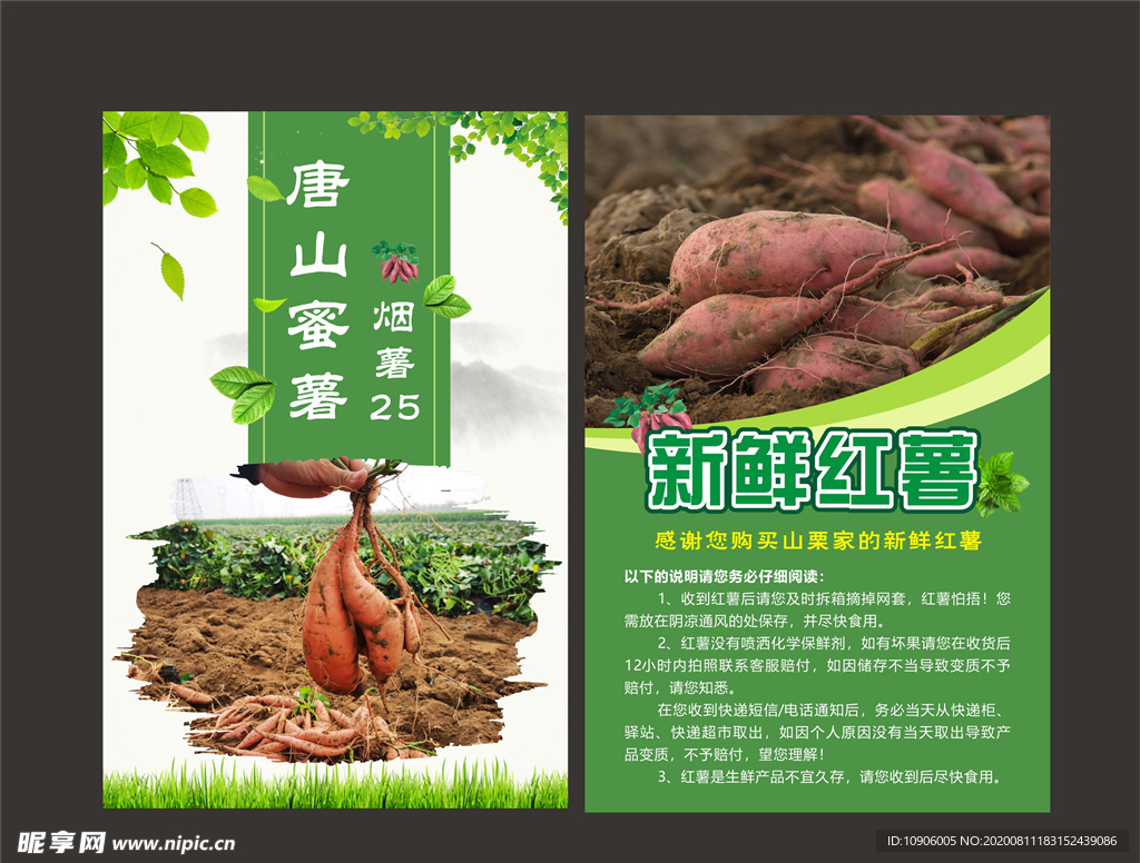 新鲜红薯海报