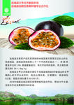 百香果