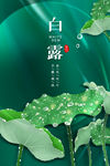 白露
