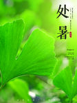 处暑