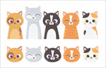 手绘卡通猫