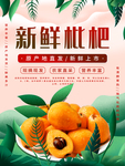水果 水果海报 水果素材 蔬菜