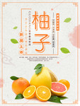 水果 水果海报 水果素材 蔬菜