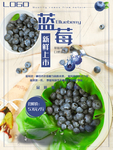 水果  水果海报  水果素材