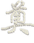 菊花奠字