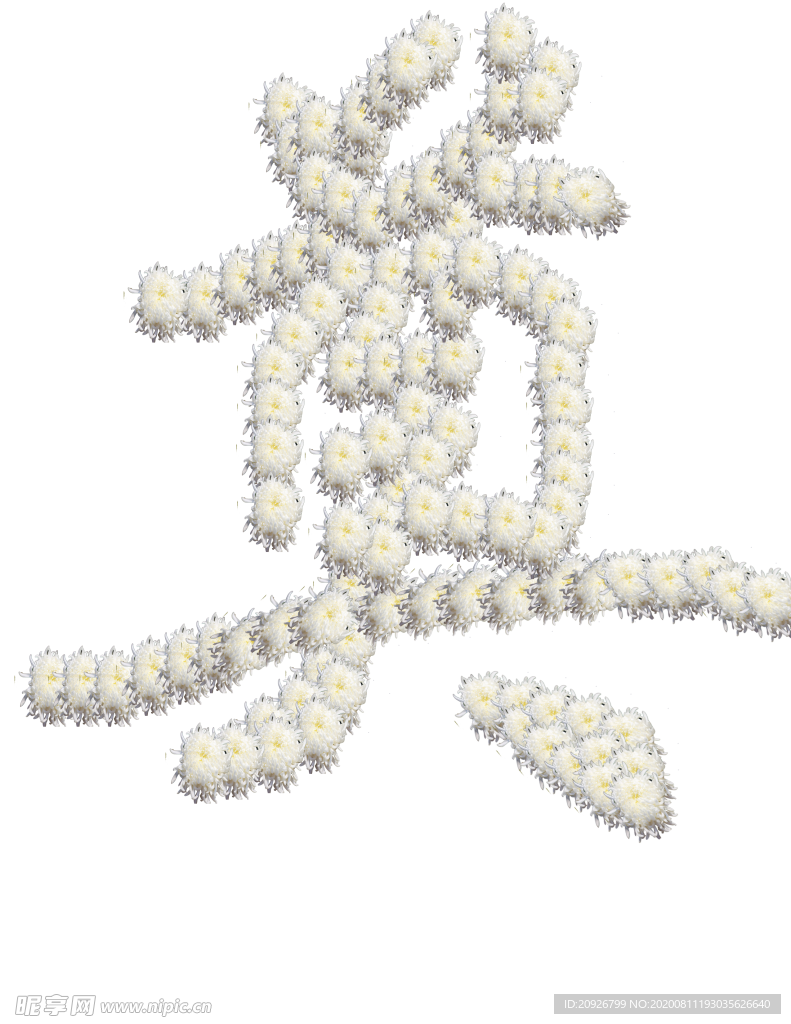 菊花奠字