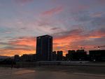 夕阳红