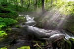山水风景