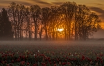 夕阳风景