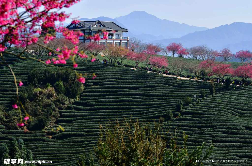 风景 度假 旅游  景点 游玩