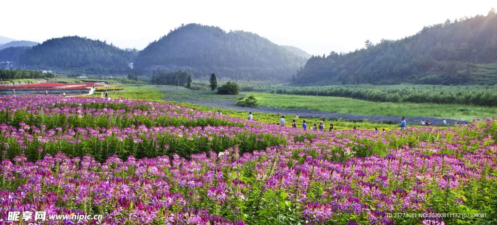 风景 山 旅游