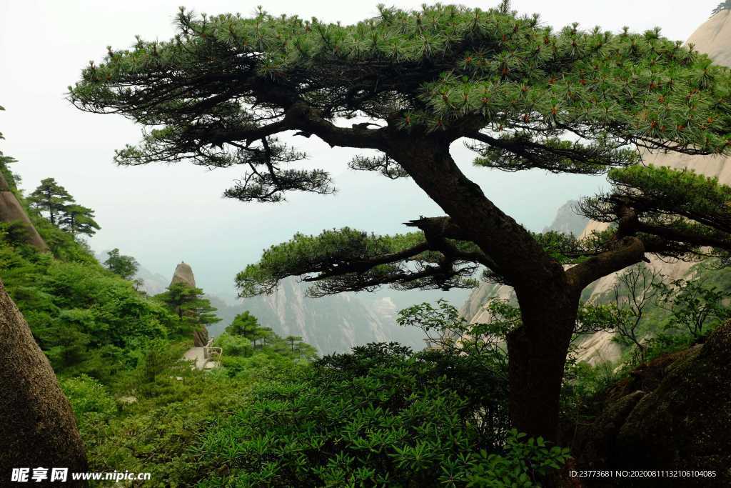 风景 山 旅游