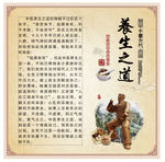 中医文化 养生之道