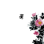 国画菊花