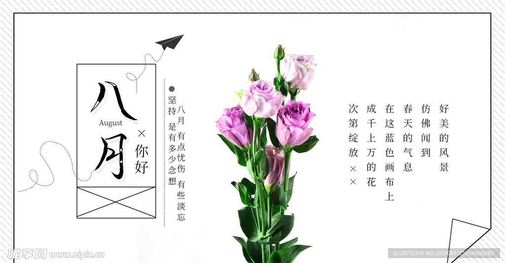 八月