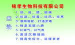 冷敷凝胶