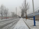 初雪