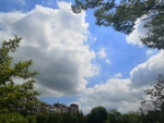 蓝天白云绿树