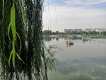 河面上的风景