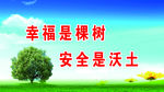 幸福是棵树
