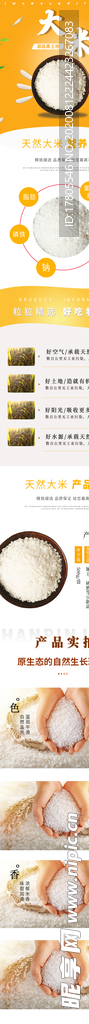 五谷详情页 杂粮详情页 谷物