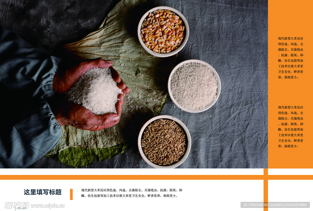 五谷杂粮海报 谷物 豆豆素材