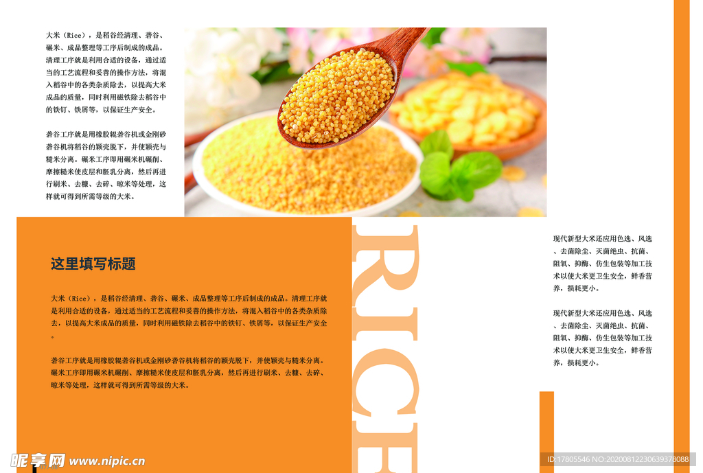 五谷杂粮海报 谷物 豆豆素材