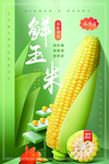 五谷杂粮海报 谷物 豆豆素材